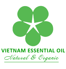 Benzoin Siam Viet Nam